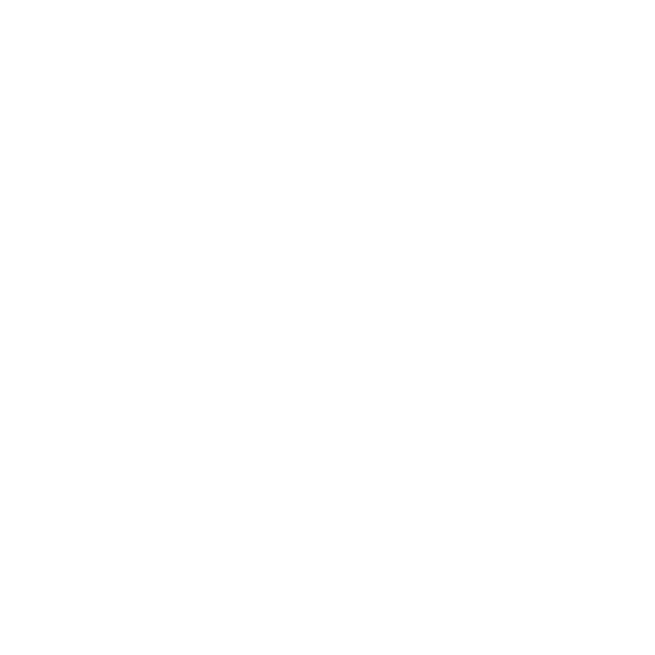 The Fork CPAs
